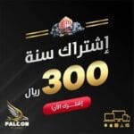 اشتراك فالكون سنة