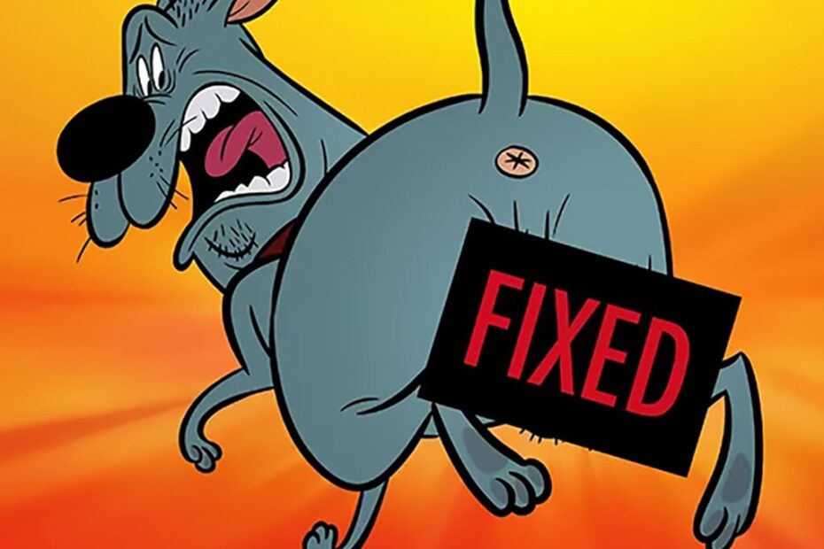 fixed 2025